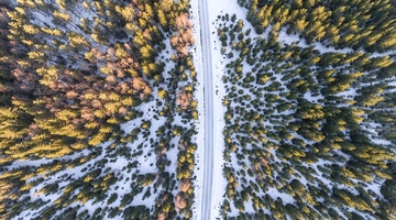 Вижте автобусни билети цени 18